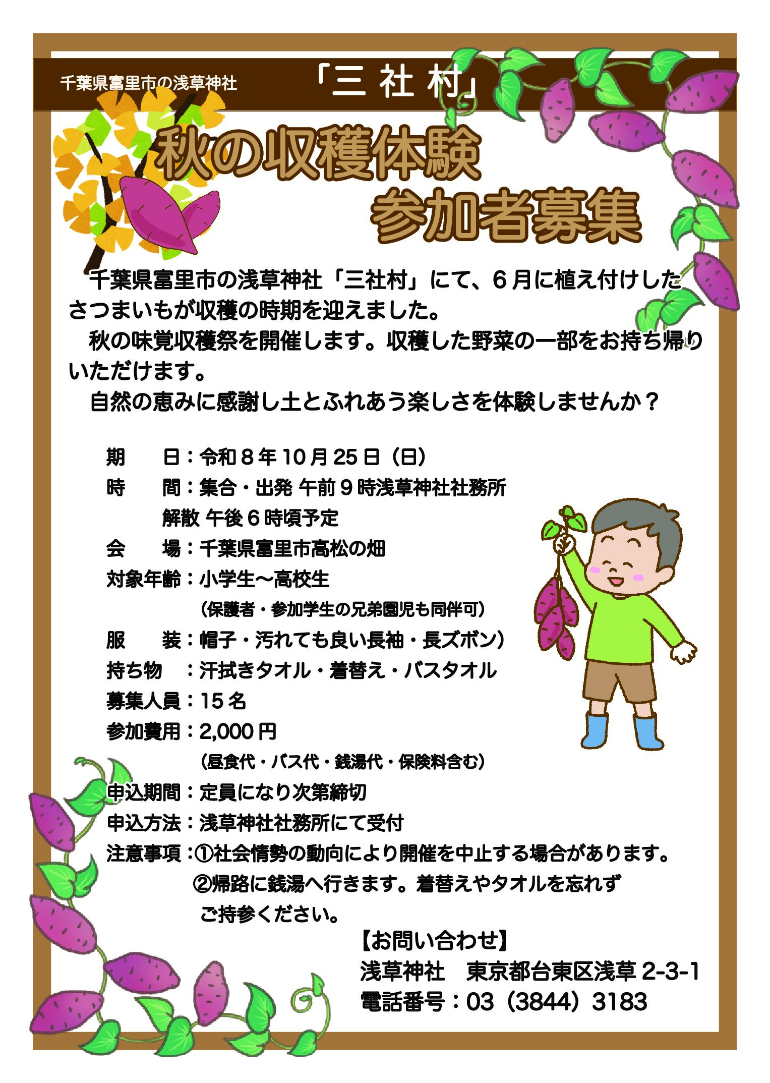 浅草神社の三社村 秋の収穫体験参加者募集